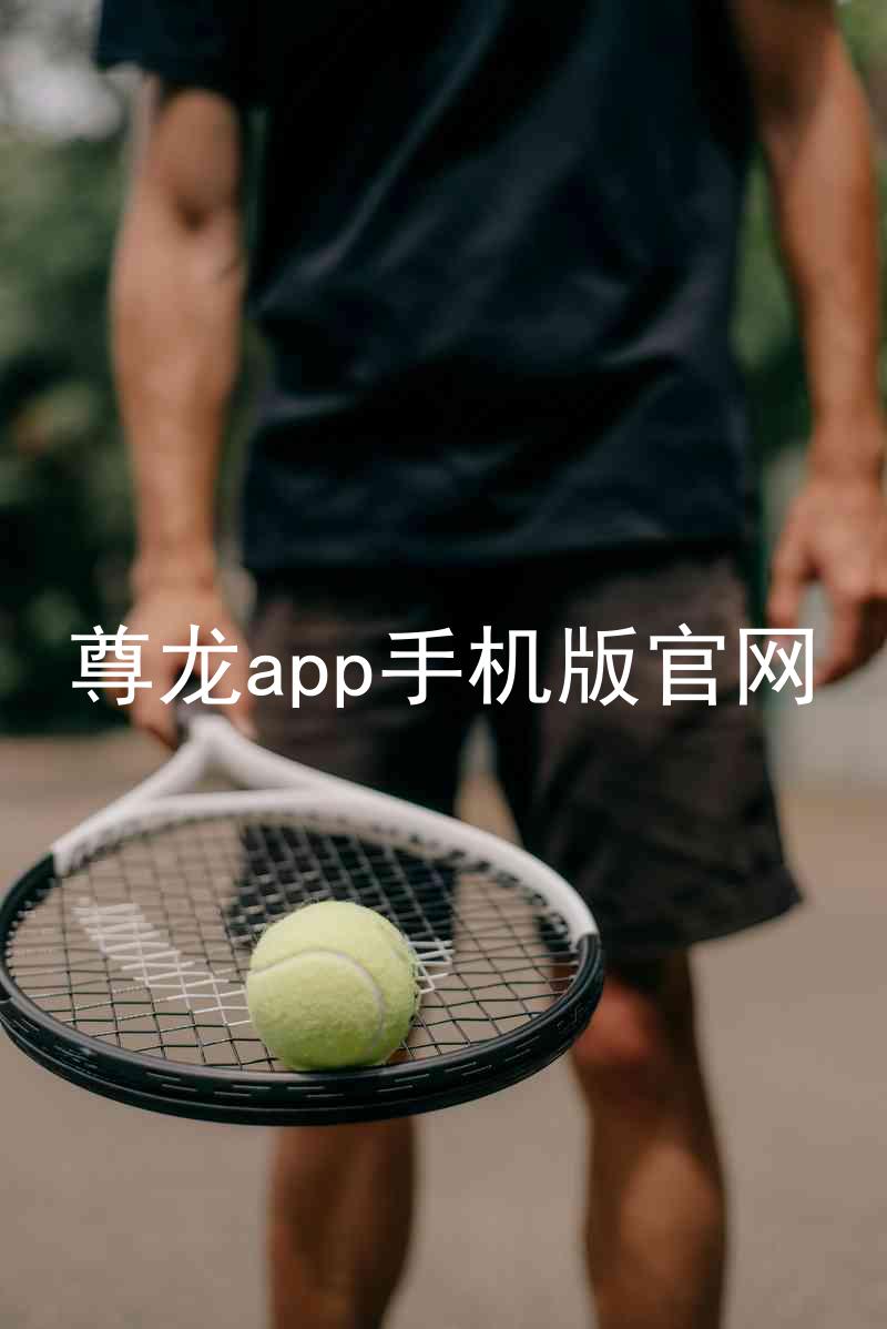 尊龙app手机版官网
