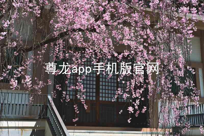 尊龙app手机版官网