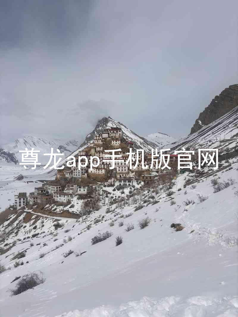 尊龙app手机版官网